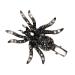 Lurrose Halloween Hair Clip for Women Gothic Sparkling Rhinestone Spider Hair Barrettes Halloween Party Masquerade Cosplay Accessory
