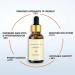 Vintesse Advanced Bee Venom Serum Vitesse Advanced Bee Venom Serum Vintesse Bee Venom Serum Vintesse Serum Honey Anti Aging Face Serum (2 Pcs) - Buy Online on GoSupps.com