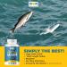 Omega 3 Fish Oil with Maximum EPA DHA - Supports Brain Liver Heart & Immunity - Made in The USA - 150 Softgels - Buy Online on GoSupps.com