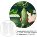 Toddmomy 2pcs Vegetable Shaping Fruit Garden Cucumber Vegetable Accessories Modeling - Buy Online on GoSupps.com