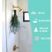 Dried Eucalyptus Branches - Real Hanging Stems for Home, Office, and Hotel D cor | Indoor Eucalyptus Plant for DIY Projects and Shower Aromatherapy - Buy Online on GoSupps.com
