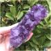 Natural Dream Amethyst Quartz Crystal Cluster Specimen Home Collections - Buy Online on GoSupps.com