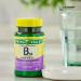 Spring Valley SCHMIDT EMPIRE Vitamin B-12 1000mcg Timed Release - 60 Tablets - Buy Online on GoSupps.com