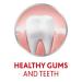 Buy Parodontax Active Gum Repair Toothpaste - Fresh Mint 3.4 oz | International Shipping Available - Buy Online on GoSupps.com