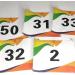 SLOYUNLU Running Bib Numbers 50/100 + Safety Pins | Tearproof Waterproof Track & Field Competition Bibs 6x7.5 Inch - Buy Online on GoSupps.com