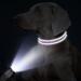 Buy Tagme Personalized Purple Dog Collar for Small Dogs | Embroidered Reflective Nylon with Pet Name & Phone Number - International Shipping Available - Buy Online on GoSupps.com
