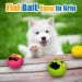 Holysteed Dog Toys for Small Dogs - Squeaky Latex Puppy Toys Soft Multicolored Burger Shape - 6 Pieces (5.5 x 3.5 cm) - Buy Online on GoSupps.com