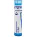 Boiron Sanguinarinum Nitricum 5C Md 80 Pellets for Watery Burning Nasal Discharge During The Day