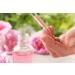 12PCS 50ML Glass Pipette Dropper Bottles Set - Ideal for Essential Oils Perfume & Fragrance Samples - Boston Style for International Shipping - Buy Online on GoSupps.com