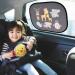 astarye Solar Protection Car SunShade - Side Window and Windscreen Roof Window for Children and Adults - Adsorption Electrostatic COOL1 - Buy Online on GoSupps.com