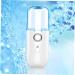 Angoily Nano Water Replenishing Instrument Face Steamer Humidifer Handheld Steamer Face Humidifier Spray Set - Buy Online on GoSupps.com