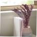 Cabilock Dried Eucalyptus Stems 10pcs Christmas Flower Arrangement Real Eucalyptus Leaves As Shown Size 3 - Buy Online on GoSupps.com