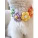 QWINEE Flower Decor Dog Collar - Cute Necklace for Small to Medium Dogs - Multicolor - S - Buy Online on GoSupps.com