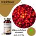 Dr. Oldhaver Beta Glucan & Vitamin C - Immune Support Capsules with Acerola Extract | 90 Count - Buy Online on GoSupps.com