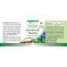 Fairvital | Vitamin B1 100mg - Thiamine - VEGAN - High Dose - 100 Tablets - German Quality - Buy Online on GoSupps.com