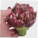 Amosfun Fake Vegetable household Rose wedding shop display artichoke vegetable props silk flower fake fake vegetables decorations wedding ornaments artificial artificial vegetable - Buy Online on GoSupps.com