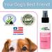 Vet Worthy Liquid Bandage for Dogs - Dog Wound Care Solution with Aloe Vera - 4oz - Buy Online on GoSupps.com