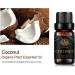 100% Pure Coconut Essential Oil - 10ml Therapeutic Grade for Diffusers Humidifiers Aromatherapy Skin & Hair Care - Buy Online on GoSupps.com