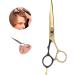 Qukaim Salon Scissors Hair Scissors Stainless Steel 5.5 Inch Hairdressing Scissors for Salon Portable Black Gold Flat Scissors - Buy Online on GoSupps.com