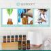 Buy SpaRoom 100% Pure Essential Oil - Shield Immunity Blend 10 mL | International Shipping Available - Buy Online on GoSupps.com