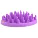 The Company of Animals CATCH Interactive Feeder - Purple | Buy Online - Buy Online on GoSupps.com