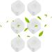 Natural Odor-Free Activated Carbon Fridge Air Freshener | Refrigerator Deodorizer & Electronic Sterilization | Odor Absorber for Fresh Food - Buy Online on GoSupps.com