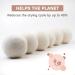Valneo 6 Natural Sheep Wool Dryer Balls - Gentle & Efficient for Tumble Dryers | White, Set of 6 - Buy Online on GoSupps.com