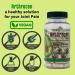 EVO Vegan Joint Health Supplement - 300mg Avocado Soy Unsaponifiable - 60 Day Supply - One Capsule Per Day - Vegan - 60 Count - Buy Online on GoSupps.com