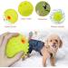 Laroo Dog Toys - Durable Natural Rubber Squeaker Football for Small & Large Dogs (6.5cm Green) - International Shipping Available - Buy Online on GoSupps.com