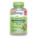 SOLARAY Echinacea with Vitamin C & Zinc Immune Support Supplement Echinacea Capsules with Vitamin C 500 mg Plus Bioflavonoids Vegan 60-Day Guarantee 90 Servings 180 VegCaps 180ct