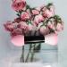 FIOERDTUIE Soft And Comfortable Blush Brush For Makeup Application Skin-friendly Nylon Makeup Brushes Powder Puff - Buy Online on GoSupps.com