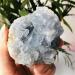 Home Decoration Natural Celestite geode Quartz Cluster Crystal Stones Home Goods ZJGIDTEM (Size : 220-260g) - Buy Online on GoSupps.com