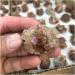 Natural Stone Minerals Aragonite Raw Quartz Point Selenite Rough Crystal Cluster Calcspar Minerals Specimen Gift Home Collections - Buy Online on GoSupps.com
