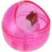Nail Cleaning Brush Box | Round Case for Dust & Drill Polishing - Beauty Salon Essentials - Buy Online on GoSupps.com