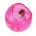 Nail Cleaning Brush Box | Dual Clean Nail Art Drill Head & Polishing Tool Perfect for Dust Removal and Manicure? - Buy Online on GoSupps.com