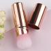 Veeteah Portable Makeup Brush Small Multipurpose Cosmetics Brushes | Portable Face Makeup Brushes Beginner Friendly Powder Brush for Home Travel Gold - Buy Online on GoSupps.com