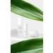 Buy Botanic 3150 Moist Essence Toner - Hydrating Skincare for All Skin Types | Worldwide Shipping - Buy Online on GoSupps.com