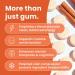 NeuroGum Energy Caffeine Gum (108 Pieces) - Sugar Free Nootropic Supplement with L-theanine Natural Caffeine & Vitamins B12 & B6 - Keto & Vegan Friendly Cinnamon Flavor - Pack of 12 - Buy Online on GoSupps.com