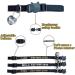 Personalized Black Cat Neck Bands with Bell | Custom Embroidered ID & Safety Buckle for Cats - Buy Online on GoSupps.com