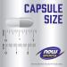 Now Foods Sports Arginine & Citrulline - 240 Veg Capsules for Enhanced Performance - Buy Online on GoSupps.com