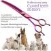 Fenice Peak 7.0'' Curved Thinning Shears | Professional Dog Grooming Scissors with 440C Steel Blades | Sharp & Durable for Dogs and Cats - Buy Online on GoSupps.com