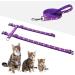 Premium Adjustable Cat Dishes & Leash Set - Outbreak-Proof Chest Strap with Safety Buckle for All Sizes - Reflective Design for Outdoor Walks - Buy Online on GoSupps.com