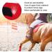 4PCS Elastic Horse Wraps - Cohesive Bandages for Training & Protection | Leg Support for Horses - Buy Online on GoSupps.com