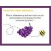 Zarbee's Black Elderberry Syrup for Kids - Vitamin C & Zinc, 4 fl oz - Buy Online on GoSupps.com
