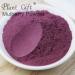 100% Natural Pure Mulberry Powder 100/3.52oz pour la cuisson jus de fruits smoothies yaourts et boissons th s | sans conservateur sans remplissage sans additifs - Buy Online on GoSupps.com
