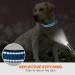 Taglory Soft Padded Neoprene Dog Collar for Extra Large Dogs - Adjustable Reflective Sky Blue | XL 1-Pack - Buy Online on GoSupps.com