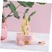 MAGICLULU Perfume Bottle Perfume Refill Bottle Travel Arabic Decor Propane Gas Regulator Empty Perfume Mini Bottle Bookshelf Decor Plants Bottle for Travel Small Glass Woman Fish Tank Stand - Buy Online on GoSupps.com