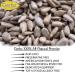 GERBS Lightly Sea Salted Roasted Sunflower Seed Kernels 2 lbs - Top 14 Allergy Free Superfood Snack, Non GMO, Gluten Free, Vegan, Keto, Kosher - Buy Online on GoSupps.com
