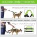 Hands Free Dog Leash for Running Walking Jogging Training Hiking Retractable Bungee Dog Running Waist Leash for Medium to Large Dogs Adjustable Waist Belt with Pack Reflective Stitches Dual Handle Black/Green - Buy Online on GoSupps.com