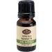 Fabulous Frannie Fir Needle 100% Pure Undiluted Essential Oil 10ml